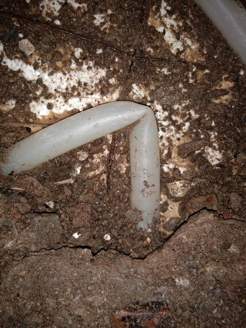 嘉善堵点精准查找